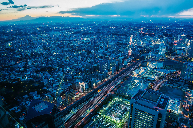 事業領域